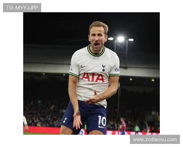 凯恩欧冠首度禁区外破门助热刺制胜